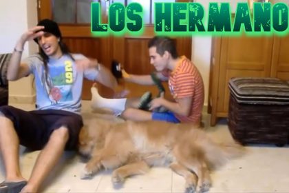 LOS HERMANOS Y LAS HERMANAS